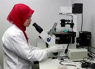 تطور البحث العلمي في ماليزيا